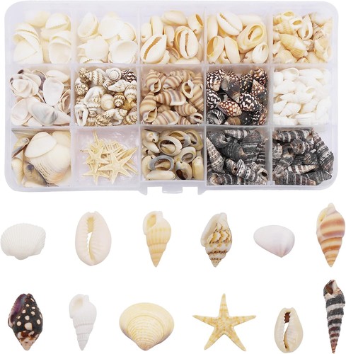 400pcs mixed sea shells - mixed,