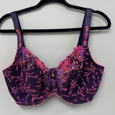 PRIMADONNA Las Salinas Tulip