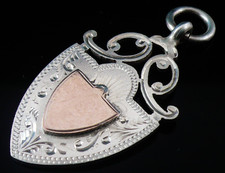Sterling Silver Gold Pocket