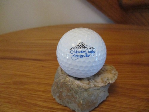 Meridian valley country club - meridian,