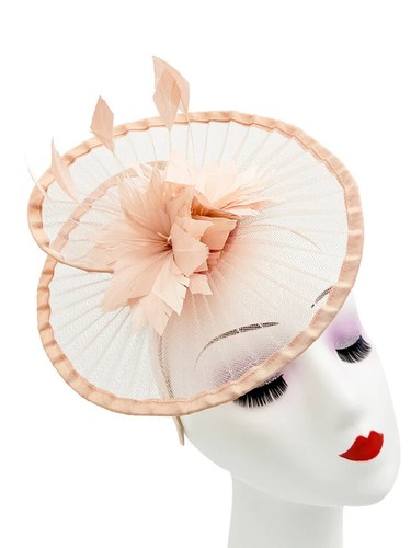 Women feathers fascinator - feathers,