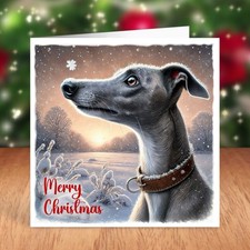 Whippet Dog Christmas Card
