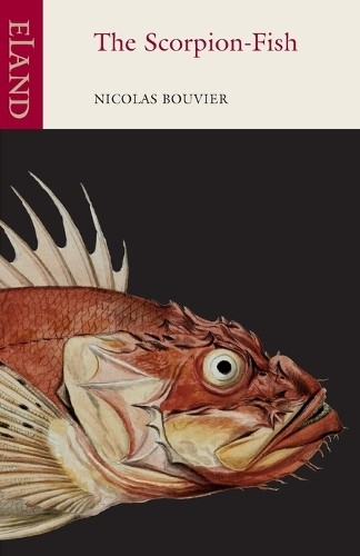 The scorpion fish nicholas - the, fish,