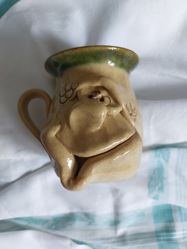Pretty ugly mug - ugly, the