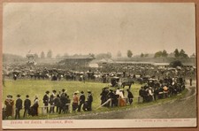 Seeing the Races Horse & Buggies Antique Vintage Postcard Hillsdale Michigan