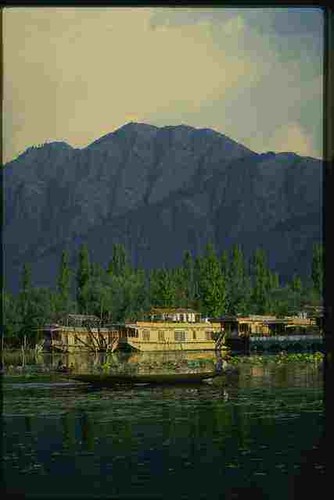 071068 house boats dal lake - house,