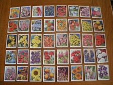 Set of WILLS GARDEN FLOWERS 2nd series  1939 Large Size  cigarette cards VG