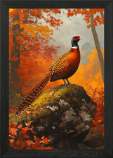Pheasant in Autumn Woods