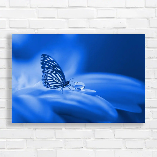 Vibrant butterfly canvas - vibrant,