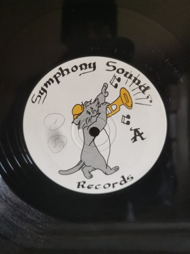 Symphony sounds 90s rave - symphony, rave/