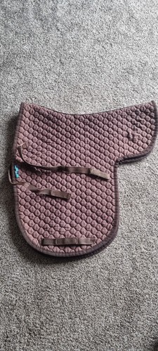 Griffin nuumed high wither - griffin,