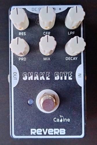Caline snake bite digital - snake,
