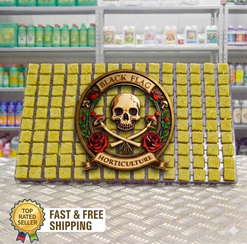 Cultilene rockwool cubes 25mm - rockwool,