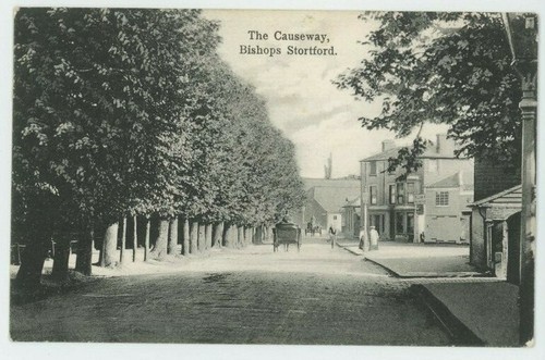 Bishops stortford the - bishops,