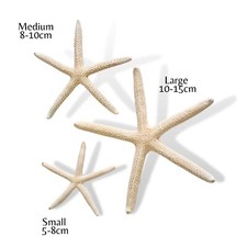 STARFISH Natural White Star Fish Coastal Style Decor Craft Sea Stars - 3 Sizes