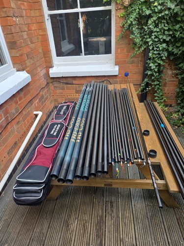 Carp roach pole tricast - roach,