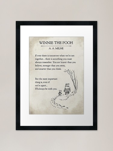 Winnie the pooh book - the,