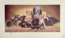 NIGEL HEMMING DOGS & PUPPIES