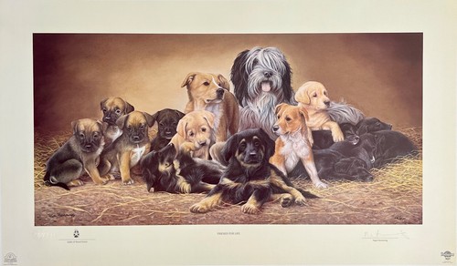 Nigel hemming dogs puppies - nigel,
