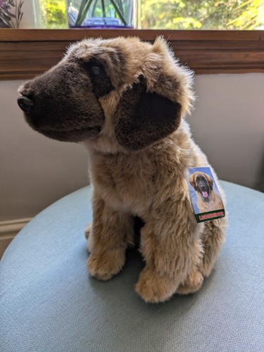 Leonberger soft dog faithful - soft,