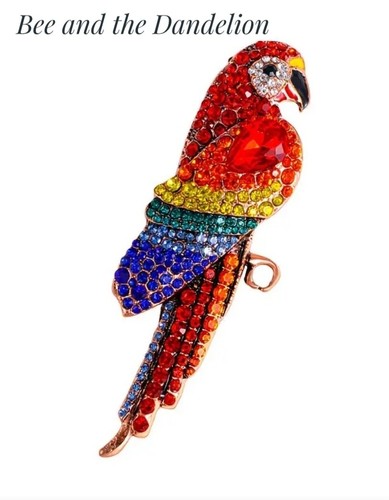 Large red macaw parrot - large,
