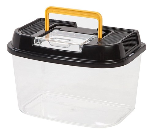 New iris clear - clear, small