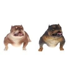 2x American Bully Pitbull