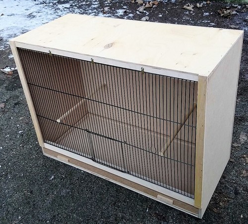 Single finch breeding - single, cage