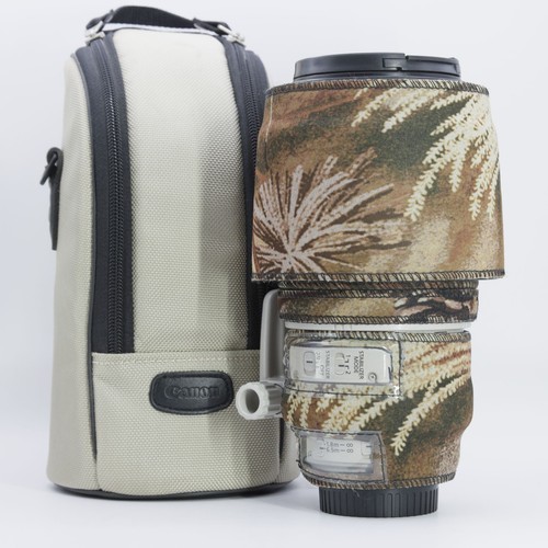 Canon 100 400 - 100–400, mm