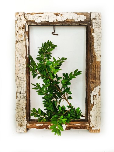 Antique wood window - wood, transom