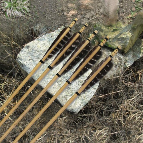 50pcs archery traditional - archery, 31''