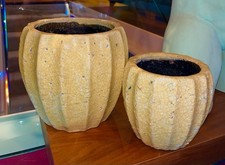 Anthropology Glazed Crackled Plant Pot Yellow Shabby Chic Planter 1 of 2