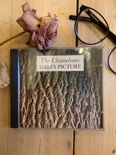 The chameleons dali s - the, dali's