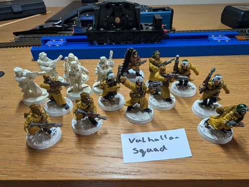 Valhallan ice warriors - 16,