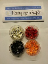 Racing pigeon clip - clip, rings