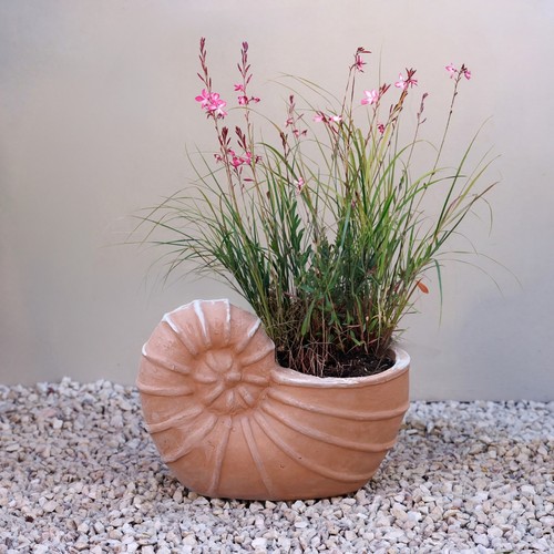 Primrose terracotta siena - terracotta,