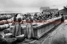 F014061 Herring Gutters Wick