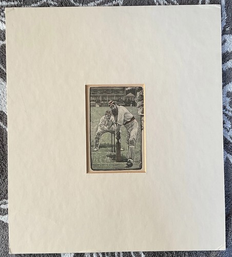 Grace cricketer - w.g.grace,