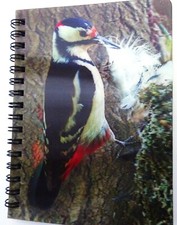 Green Spotted Woodpecker 3D