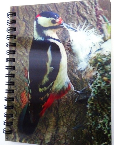 Green spotted woodpecker - spotted,