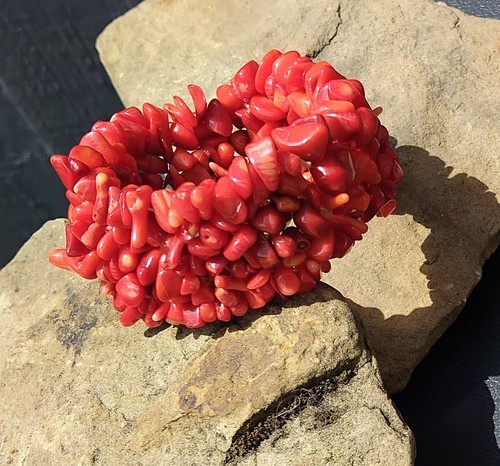 Chunky red genuine coral - chunky,