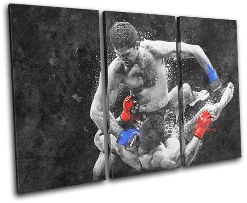 Ufc mma grunge nick - ufc,