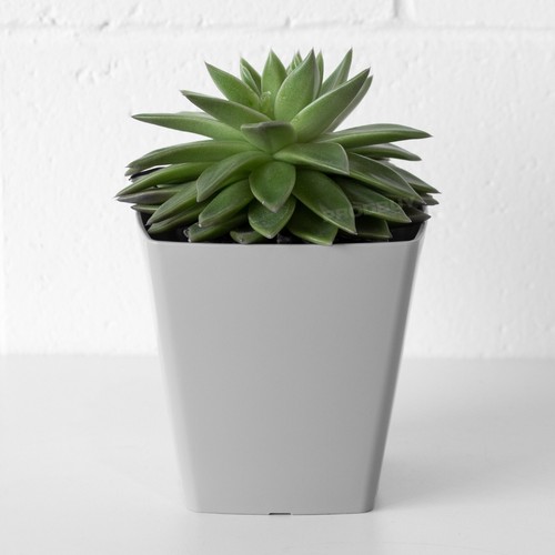 Grey small 14cm square plastic - small,