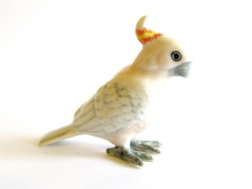 Major mitchell cockatoo - major,