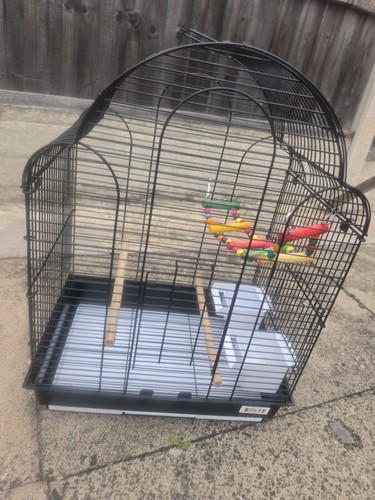 Classic bird cage with - bird,