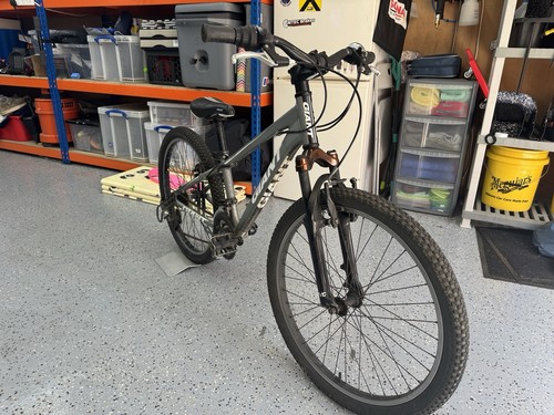 Giant xtc 250 - 250, mountain