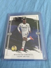 Wilfried Gnonto Immaculate