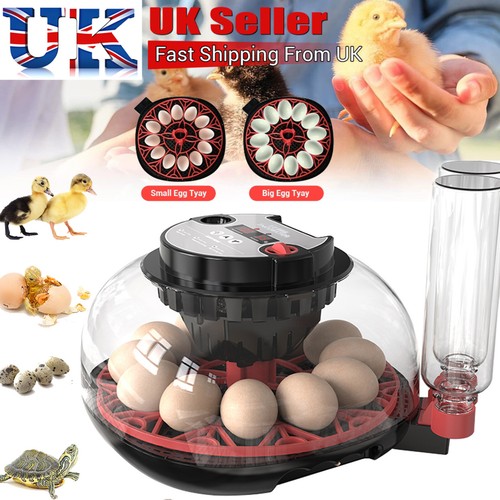 Digital egg incubator eggs - incubator, 12