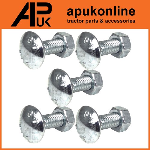 Carriage bolts nuts m8 - carriage,
