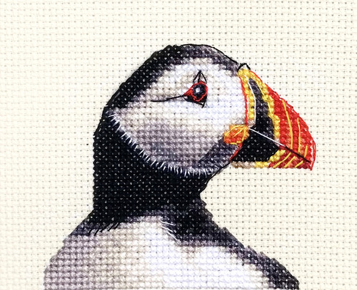 Puffin sea bird full - sea, bird,